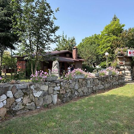 Villa Borovitsa Exterior foto