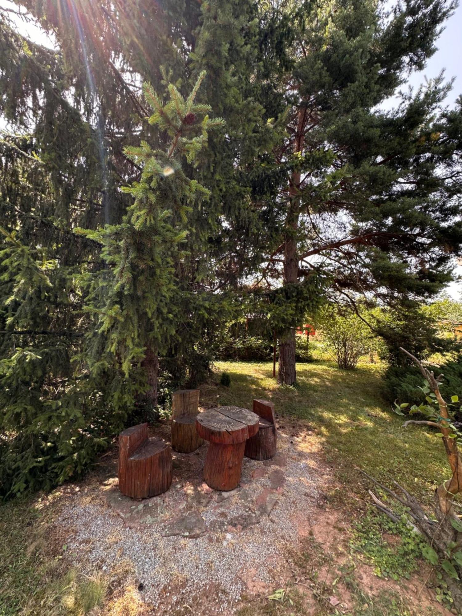 Villa Borovitsa Exterior foto